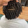 Starter Locs comb twist/ coils