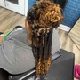 Feed-In Braids