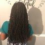 Loc shampoo and style