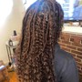 Starter Loc Extensions