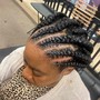 Shampoo and Blow Dry with a Braid Style