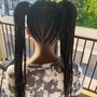 Individual Braids