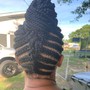 Mini Twist/ Natural hair