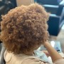 Root Touch Up