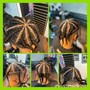 Comb Twist/Coil w/ hydration $150