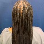 Starter Locs (Top) Medium