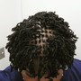 Natural Twist No Hair Added