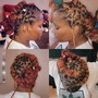 Starter Locs