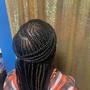 Tribal Braids small/medium