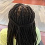 Two Strand Twists