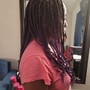 Havana Twists