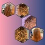 Color Touch-up on Natural Hair