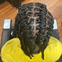 Freestyle Feed in braids