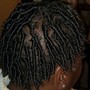 Two Strand Twists