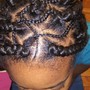 Two Strand Twists