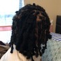 Starter locs