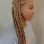 Braided ponytail