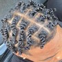 2 Strand Twist Out/Braid Out