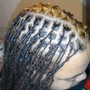 Starter Locs