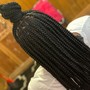 Partial Sew In w/ Braids