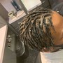 Starter Locs