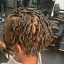 Starter Locs