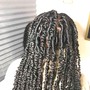 Kinky Twist