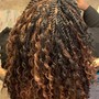 Passion  Twist