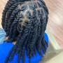 Two Strand Twist