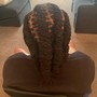 Two Strand Twist or Plaits