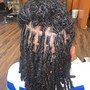 Loc Retwist - Shoulder Length