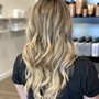 Full Highlights and  Haircut