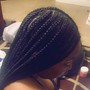 Individual Braids