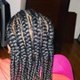 Feathers  Braids: short