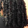 Butterfly locs (Mid back)