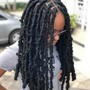 Butterfly locs (Mid back)