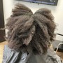 Root Touch Up