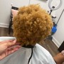 Deep Conditioning Treatment