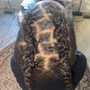 Root Touch Up