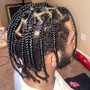 Braids (Fade)