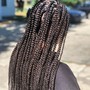 Medium 2 Strand Twists