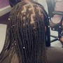 Small Box Braids waist  length