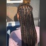 BRAID HIGHLIGHTS 1 COLOR