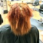 Root Touch Up