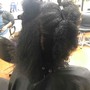 Root Touch Up