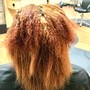 Root Touch Up