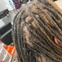 Starter locs