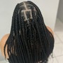 Women’s Box Braids (Medium)