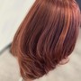 Root Color (Retouch)