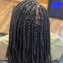 Spring Twists